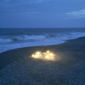 双飞老熟真败火
