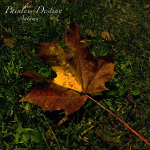 双飞老熟真败火
